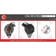 Генератор CASCO F TCH0 CAL30124GS SZDXM Fiat Marea (185) 1 Универсал 1.4 80 12V 80 л.с. 1996 – 2002