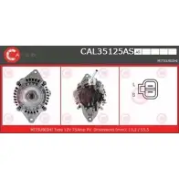 Генератор CASCO 3257399 6 HLSLC CAL35125AS 8LKX1QA