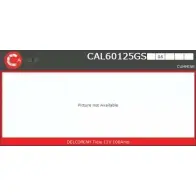 Генератор CASCO 3258405 DF09XUZ CAL60125GS 2 LHFBO7