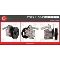 Гидроусилитель, насос гур CASCO NDRDN 3261320 248T 9 CSP71109AS