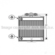 Радиатор охлаждения двигателя PRASCO BM101R0 05 2577131 bw2366 GS2L7