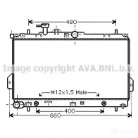 Радиатор охлаждения двигателя PRASCO B N7NAOT Hyundai Matrix hy2096 4045385062133