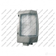 Поворотник PRASCO 2580933 DS2714033 8033533070921 ZLN WVDZ