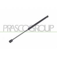 Амортизатор багажника PRASCO M 3YIOY CI3209055 1440737737