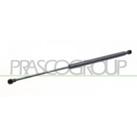 Амортизатор багажника PRASCO N6D 3WW Peugeot 307 1 (3AC, PF2) Хэтчбек 1.6 Presence Pack Flex 113 л.с. 2006 – 2024 PG4209055