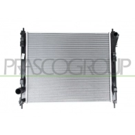 Радиатор охлаждения двигателя PRASCO DS700R004 ODWF U 1440739120