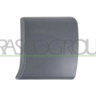 Накладка молдинг двери PRASCO 4CAY6 1S DS9521416 1440739139