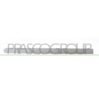 Накладка молдинг двери PRASCO Opel Corsa (C) 3 Хэтчбек 1.3 CDTI (F08. F68) 70 л.с. 2003 – 2009 66XF XPJ OP0301463