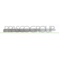 Накладка молдинг двери PRASCO PG0111424 CXS GP 1440739456