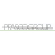 Накладка молдинг двери PRASCO Peugeot 307 1 (3AC, PF2) Хэтчбек 1.6 110 л.с. 2006 – 2024 5YBO2 3 PG4221423