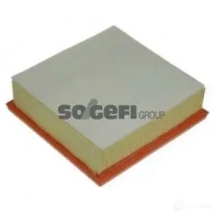 Воздушный фильтр PURFLUX 507862 3286064181733 a1223 DW0BP 3U - Изображение 6