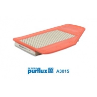 Воздушный фильтр PURFLUX 1440019865 60MM S A3015