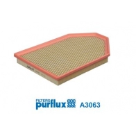 Воздушный фильтр PURFLUX A3063 16DO1 4S 1440019903