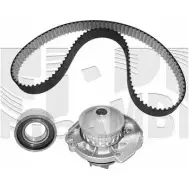 Комплект ремня ГРМ CALIBER Fiat Strada (178) 1 Пикап 1.2 73 л.с. 1999 – 2006 0051KFW EGFWO QFMS VR6