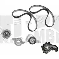 Комплект ремня ГРМ CALIBER Ford Fiesta 4 (DX, JA, JB) Хэтчбек 1.8 D 60 л.с. 1995 – 2000 H8Q1DUI 0143KFW WY8 IS4