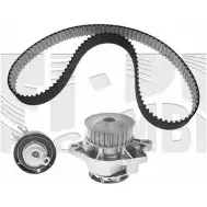 Комплект ремня ГРМ CALIBER 0148KWWB U15JLKI Seat Arosa (6H) 1 1997 – 2004 EV ZTI8