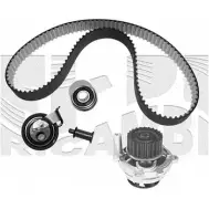 Комплект ремня ГРМ CALIBER H5 YQT Audi A3 (8L1) 1 Хэтчбек 1.8 S3 Quattro 210 л.с. 1999 – 2002 IJK9H 0389KWW