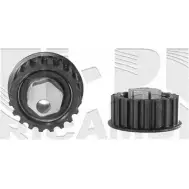 Натяжитель ремня ГРМ CALIBER 06666 3374597 0MMUK1R 18V U1X