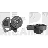 Натяжитель ремня ГРМ CALIBER KWQQAC MYBI WXA 06965 3374618
