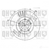 Тормозной диск QUINTON HAZELL bdc3830 BDC38 30P 7WG126U 646534 - Изображение 1