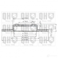 Тормозной диск QUINTON HAZELL BDC1 064P bdc1064 F02V9QX 646109 - Изображение 1
