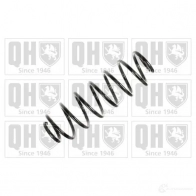Пружина QUINTON HAZELL 12 09D 5050438373189 Audi A2 (8Z0) 1 Хэтчбек qcs6149