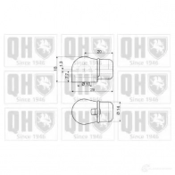 Амортизатор багажника, упор задней двери QUINTON HAZELL H PDL5OF 128342 1423262576 - Изображение 2