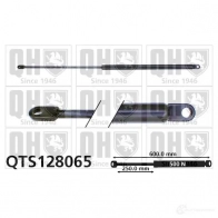 Амортизатор багажника, упор задней двери QUINTON HAZELL qts128065 688265 O 9ISWQ 5016593267084