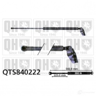 Амортизатор багажника, упор задней двери QUINTON HAZELL 5050438257472 EC1R I8R Mazda qts840222