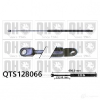 Амортизатор багажника, упор задней двери QUINTON HAZELL 5016593267671 qts128066 PLBW 3SY 688266