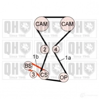 Комплект ремня ГРМ QUINTON HAZELL Hyundai Santa Fe (SM) 1 Кроссовер qbk719 5050438066036 XA9Y 11