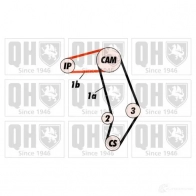 Комплект ремня ГРМ QUINTON HAZELL F C11OR qbk442 5016593878556 659358 - Изображение 1