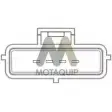 Расходомер воздуха, дмрв MOTAQUIP GL ELB LVMA222 KITSWN 3550228