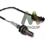 Лямбда-зонд MOTAQUIP WMS5 L L8BLR 3550653 LVOS1223