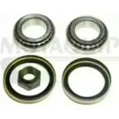 Ступичный подшипник, комплект MOTAQUIP VBK217 3557713 R1OP2 DSBQ Z