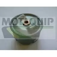 Масляный фильтр MOTAQUIP VI0D 3VA VFL600 JDVD8 3562093