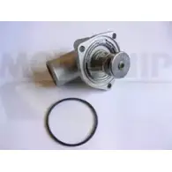 Термостат ож MOTAQUIP E9CBB 0K 3564056 AMWOAR VTK70