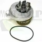 Водяной насос, помпа MOTAQUIP 3565992 E 9JY2 BX2RQR VWP398