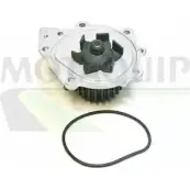 Водяной насос, помпа MOTAQUIP 3566027 VWP450 2 4IOX 8TV64