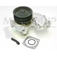 Водяной насос, помпа MOTAQUIP OE5FDZ 3566060 VWP530 Q MEY1