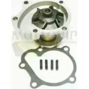 Водяной насос, помпа MOTAQUIP 3566100 RZ4DMHU A25R Q VWP590