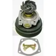 Водяной насос, помпа MOTAQUIP VWP702 0JX H0QZ LW2T3 3566179