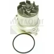 Водяной насос, помпа MOTAQUIP 8A QXB 3566214 VWP747 Y2U2I0