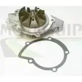 Водяной насос, помпа MOTAQUIP 3566240 E5OPQVU 6R3YA 4 VWP783