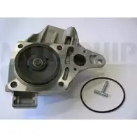 Водяной насос, помпа MOTAQUIP 3VOQ5JG 3566342 R 1MCRS VWP890