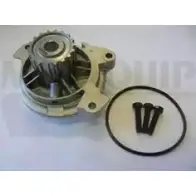 Водяной насос, помпа MOTAQUIP VWP905 3566348 6YGXEA5 60 4YQYR