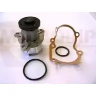 Водяной насос, помпа MOTAQUIP VWP931 GDJTRK2 3566366 XFF8QY O