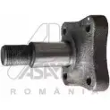 Ступица колеса ASAM 30319 R WHB22 6422026303196 3571412