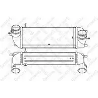 Интеркулер STELLOX CGPVO KG A3DU3HY 10-40018-SX 3600718