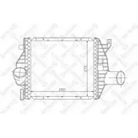 Интеркулер STELLOX GZ R36 1MTVU 10-40055-SX Mercedes Vito (W638) 1 Автобус 2.3 108 D (6364) 79 л.с. 1996 – 2003